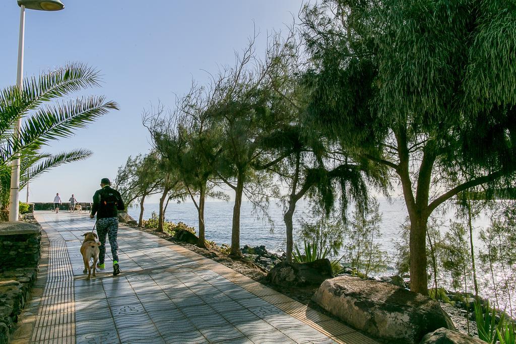 La Casita De Vanessa Playa Del Hombre Dış mekan fotoğraf